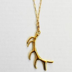 Large Stag Horn Pendant Necklace on Vintage Brass Chain